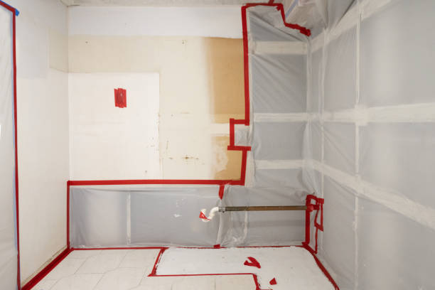 Best Crawl Space Mold Remediation  in Spring Creek, NV