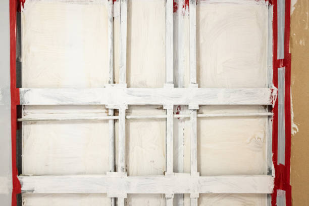 Best Residential Mold Inspection & Testing  in Spring Creek, NV