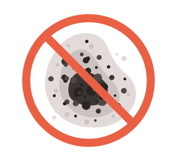 Mold Documentation for Insurance Claims in Spring Creek, NV
